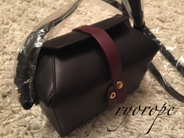 2016SSNEW セリーヌスーパーコピー ★希少！素敵すぎる★ セリーヌ【BOX ON STRAP】 106003ABC.07OC